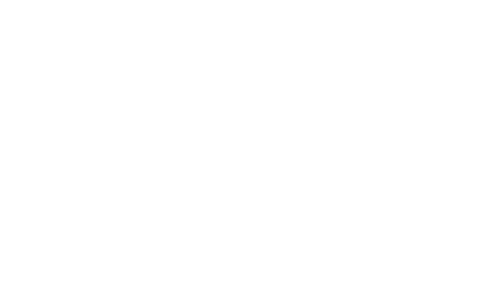 Dipisa