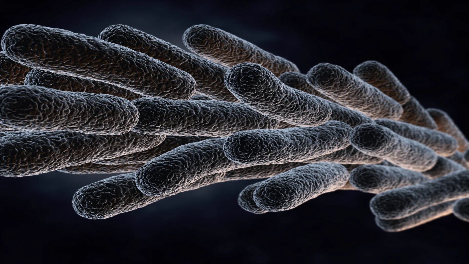 Vista más cercana de la bacteria legionella