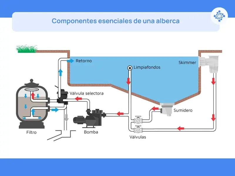 El diagrama muestra los elementos que conforman una alberca o una piscina para mantener el agua en condiciones saludables para los usuarios.