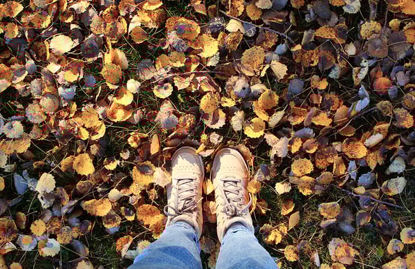 otoño