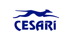 Cesari