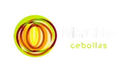 Cebollas marchite