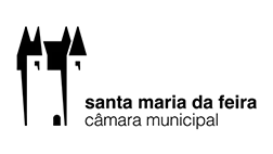 Câmara municipa santa maria da feira