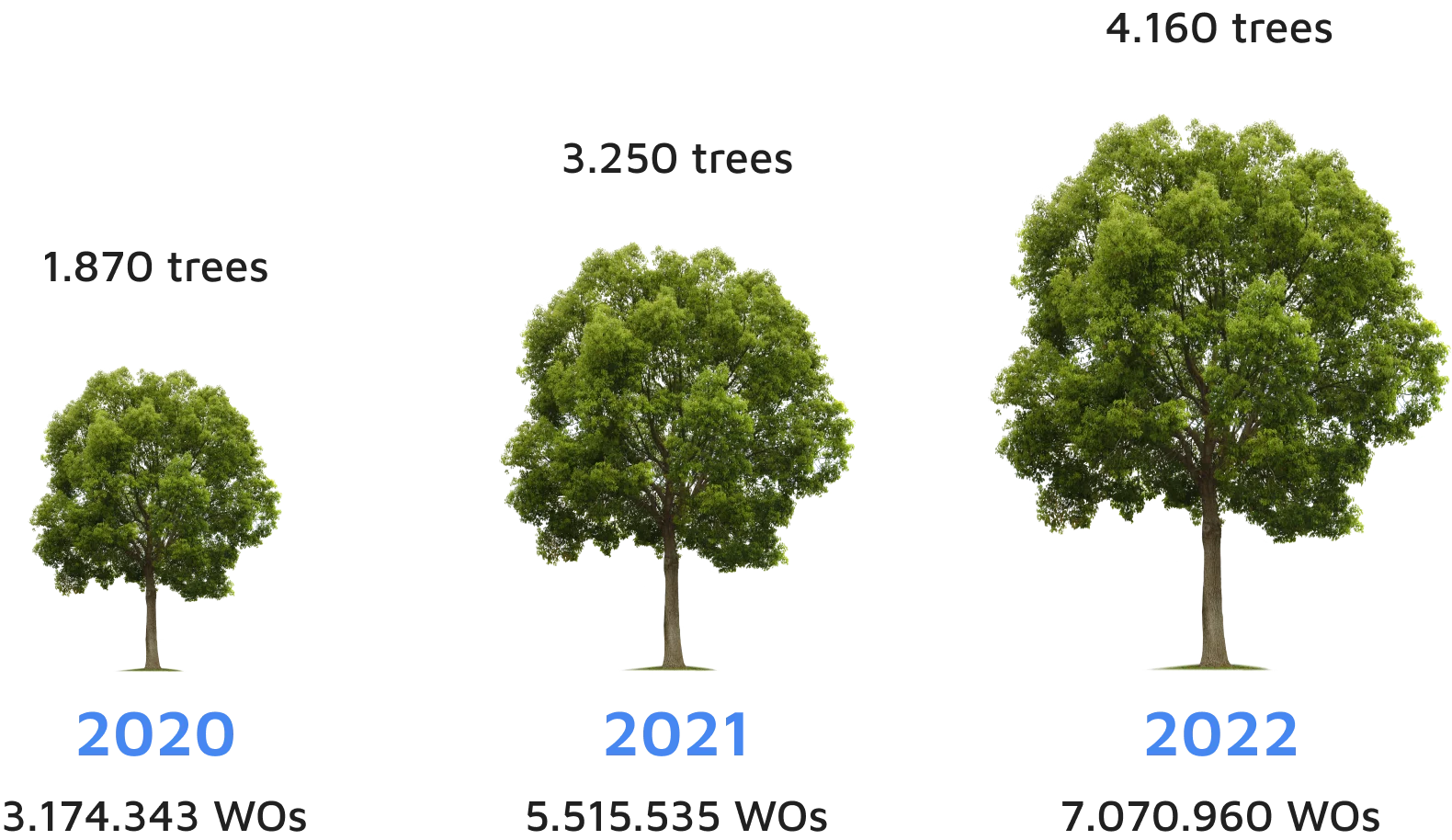 With the WOs generated digitally through Fracttal One, tree cutting was avoided