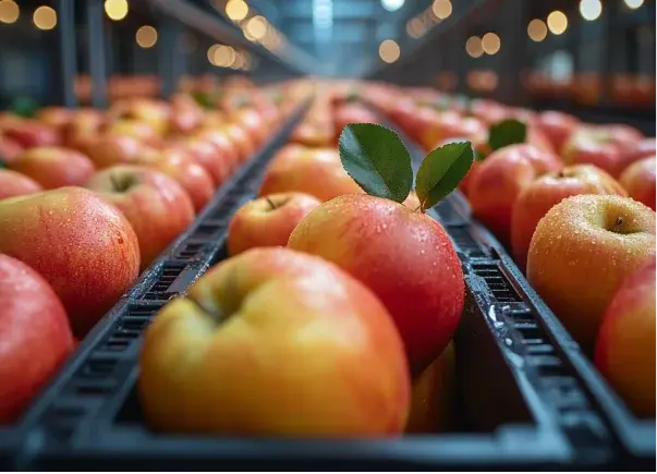 No detengas la planta ni pongas en riesgo la inocuidad