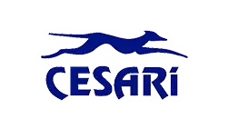 Cesari